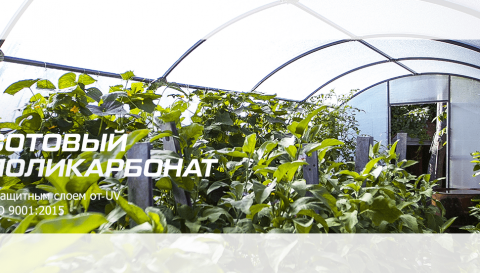 Теперь у нас в продаже розовый поликарбонат!